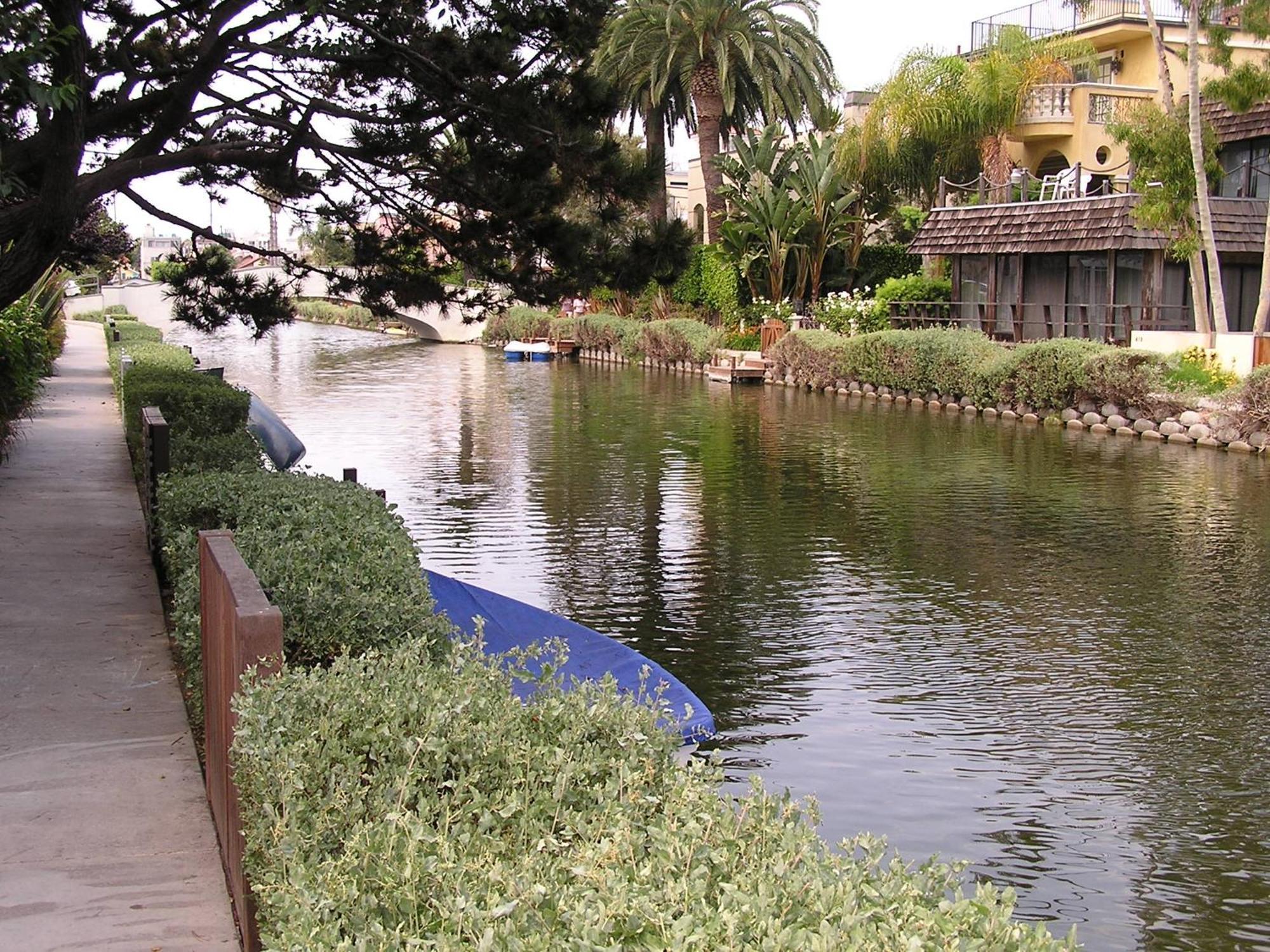 Venice Canals Contemporary, Unique Wildlife, Amazing Reviews Villa *